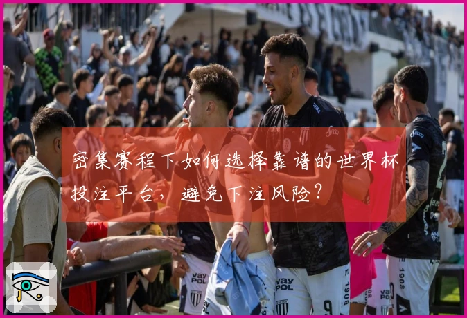 密集赛程下如何选择靠谱的世界杯投注平台，避免下注风险？