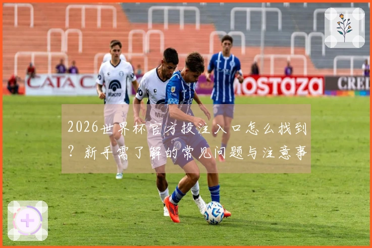 2026世界杯官方投注入口怎么找到？新手需了解的常见问题与注意事项
