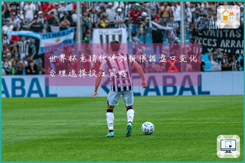 世界杯竞猜软件如何根据盘口变化合理选择投注策略