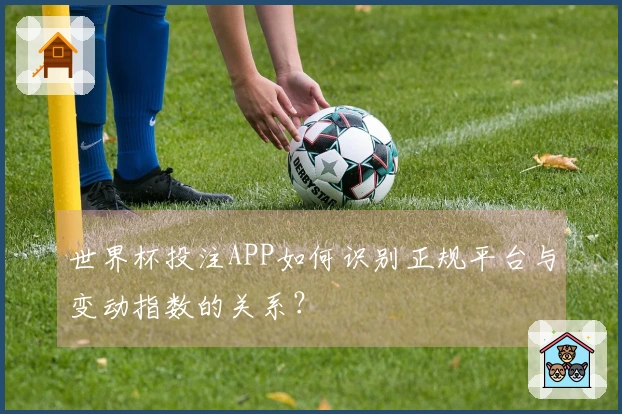 世界杯投注APP如何识别正规平台与变动指数的关系？