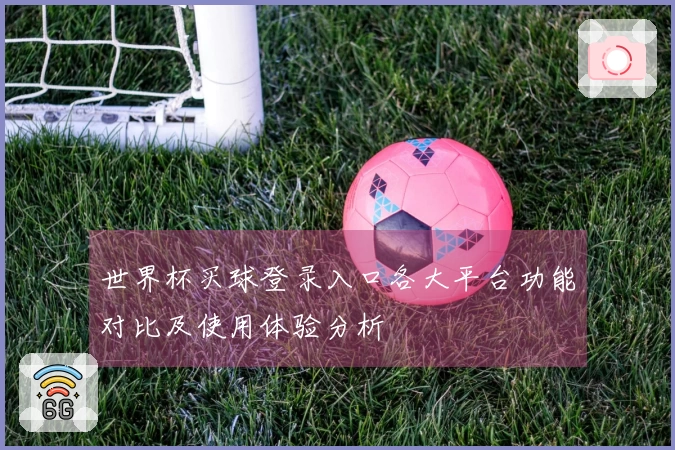 世界杯买球登录入口各大平台功能对比及使用体验分析