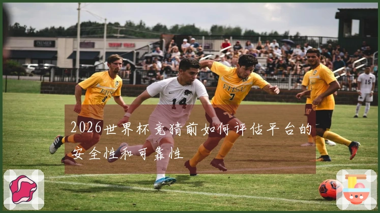 2026世界杯竞猜前如何评估平台的安全性和可靠性