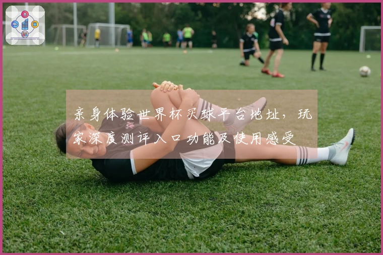 亲身体验世界杯买球平台地址，玩家深度测评入口功能及使用感受