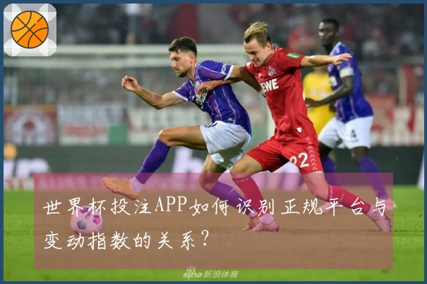 世界杯投注APP如何识别正规平台与变动指数的关系？