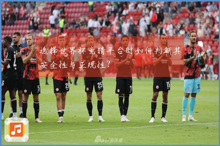 选择世界杯竞猜平台时如何判断其安全性与正规性？