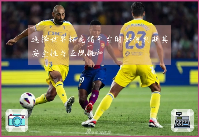 选择世界杯竞猜平台时如何判断其安全性与正规性？