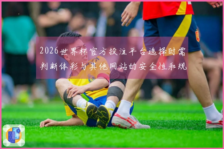 2026世界杯官方投注平台选择时需判断体彩与其他网站的安全性和规则差异