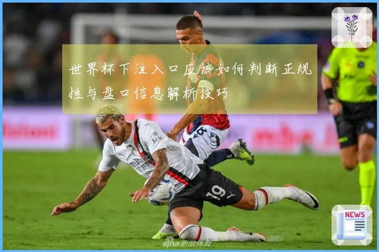世界杯下注入口应该如何判断正规性与盘口信息解析技巧