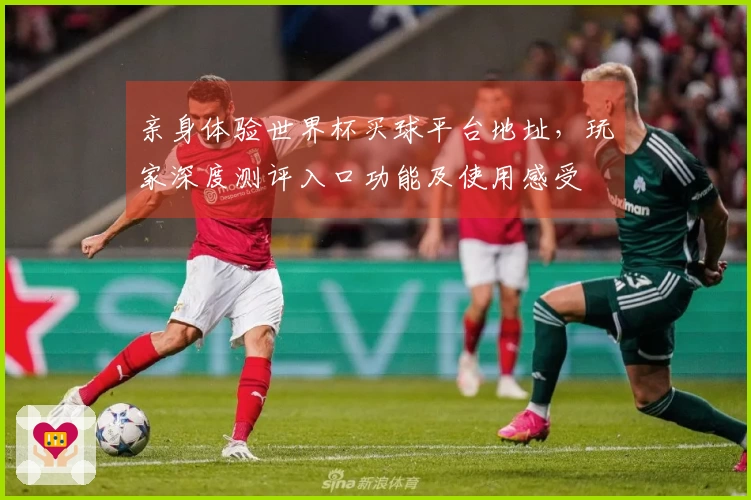 亲身体验世界杯买球平台地址，玩家深度测评入口功能及使用感受