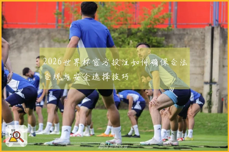 2026世界杯官方投注如何确保合法合规与安全选择技巧