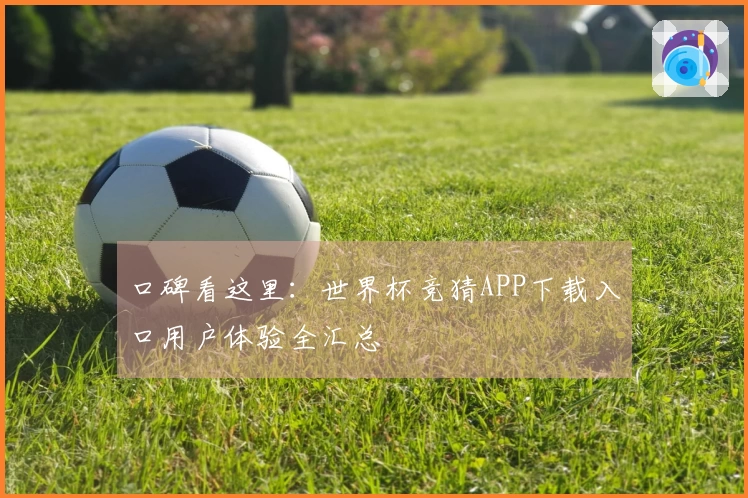 口碑看这里：世界杯竞猜APP下载入口用户体验全汇总