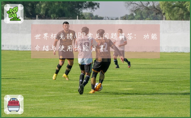 世界杯竞猜APP常见问题解答:功能介绍与使用体验分享