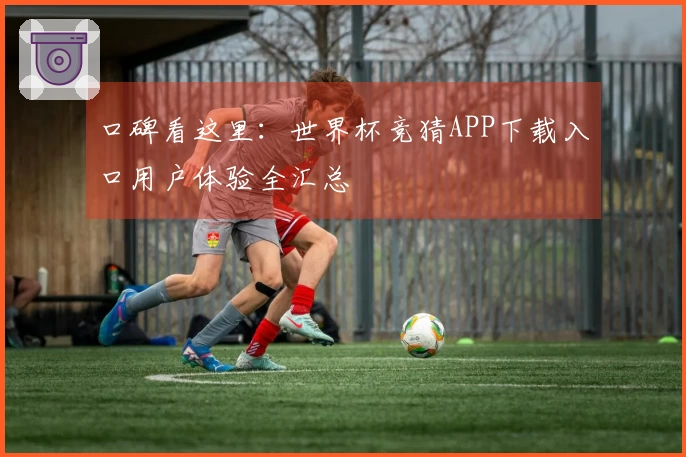 口碑看这里：世界杯竞猜APP下载入口用户体验全汇总