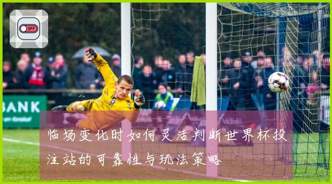 临场变化时如何灵活判断世界杯投注站的可靠性与玩法策略