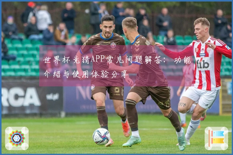 世界杯竞猜APP常见问题解答：功能介绍与使用体验分享