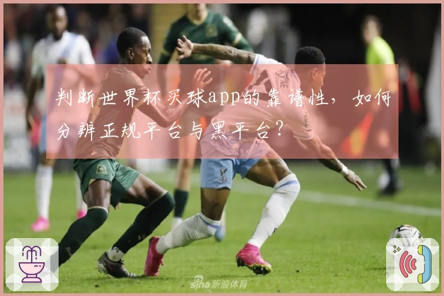 判断世界杯买球app的靠谱性，如何分辨正规平台与黑平台？