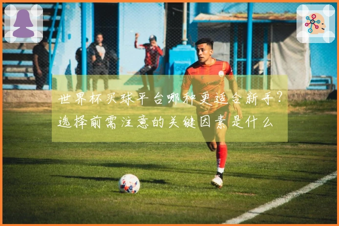 世界杯买球平台哪种更适合新手？选择前需注意的关键因素是什么