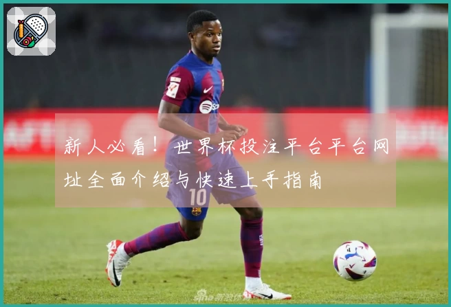 新人必看！世界杯投注平台平台网址全面介绍与快速上手指南
