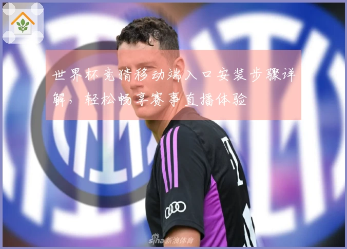 世界杯竞猜移动端入口安装步骤详解，轻松畅享赛事直播体验