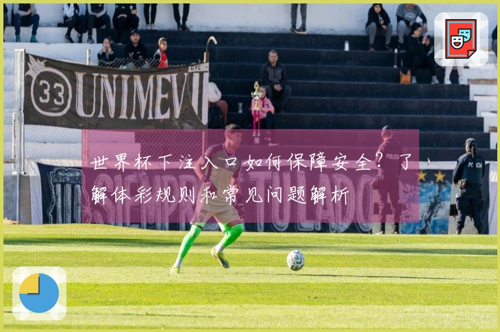 世界杯下注入口如何保障安全？了解体彩规则和常见问题解析