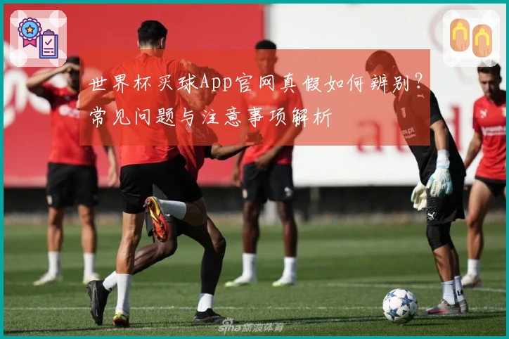 世界杯买球App官网真假如何辨别？常见问题与注意事项解析