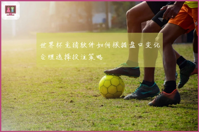 世界杯竞猜软件如何根据盘口变化合理选择投注策略