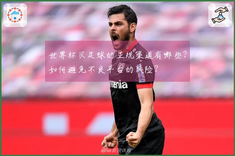 世界杯买足球的正规渠道有哪些？如何避免不良平台的风险？