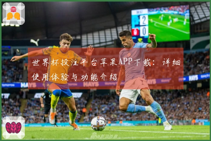 世界杯投注平台苹果APP下载：详细使用体验与功能介绍