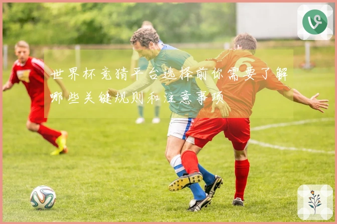 世界杯竞猜平台选择前你需要了解哪些关键规则和注意事项