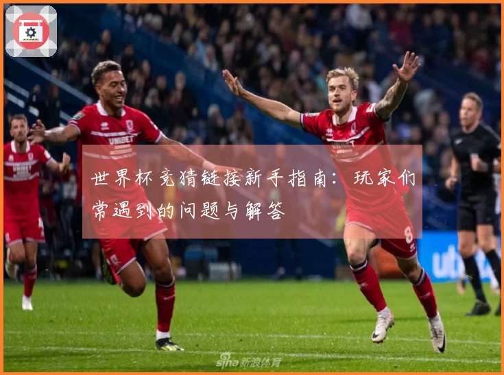 世界杯竞猜链接新手指南：玩家们常遇到的问题与解答