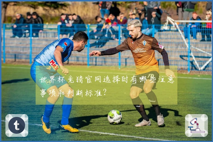 世界杯竞猜官网选择时有哪些注意事项和判断标准？