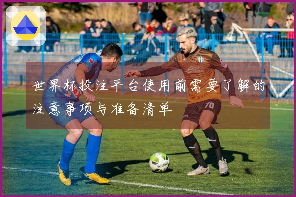 世界杯投注平台使用前需要了解的注意事项与准备清单