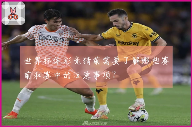 世界杯体彩竞猜前需要了解哪些赛前和赛中的注意事项？